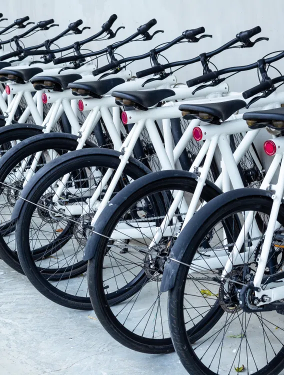rental bike